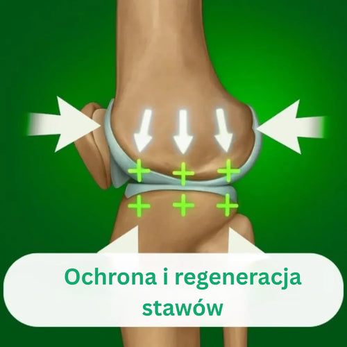 OrthoKnee™ – Długotrwała ulga w przypadku artretyzmu i bólu stawów