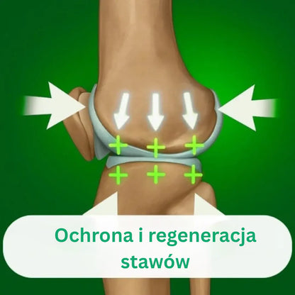 OrthoKnee™ – Długotrwała ulga w przypadku artretyzmu i bólu stawów